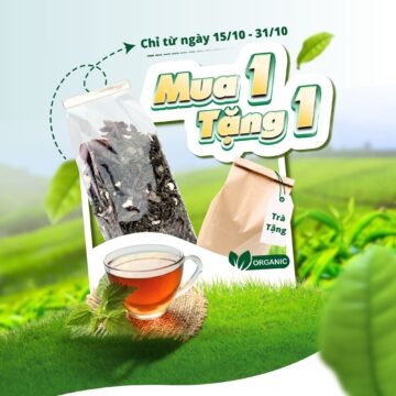Ẩm thực - mã 13